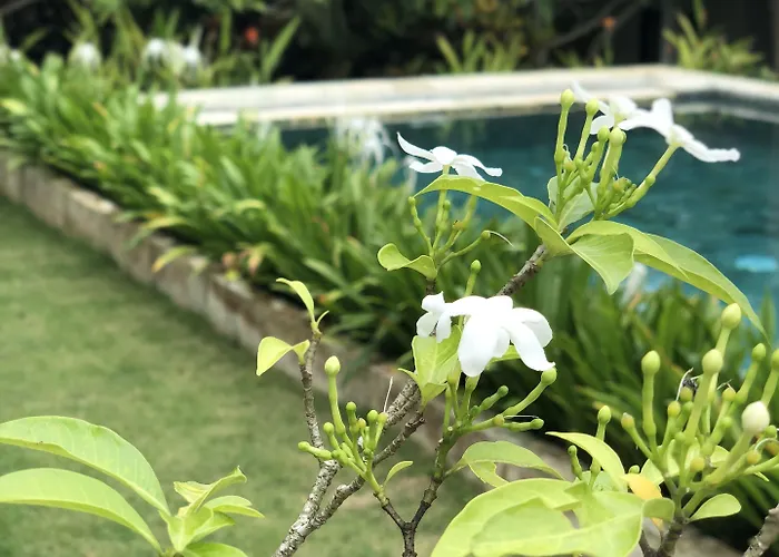 Hotel Casa 3*